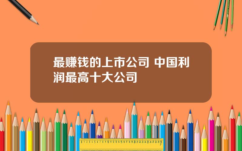 最赚钱的上市公司 中国利润最高十大公司